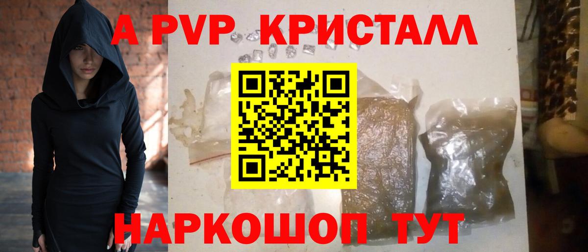 A PVP СК КРИС Новозыбков