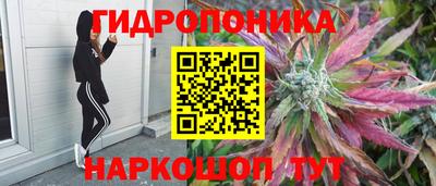 прущие крисы Усть-Джегута